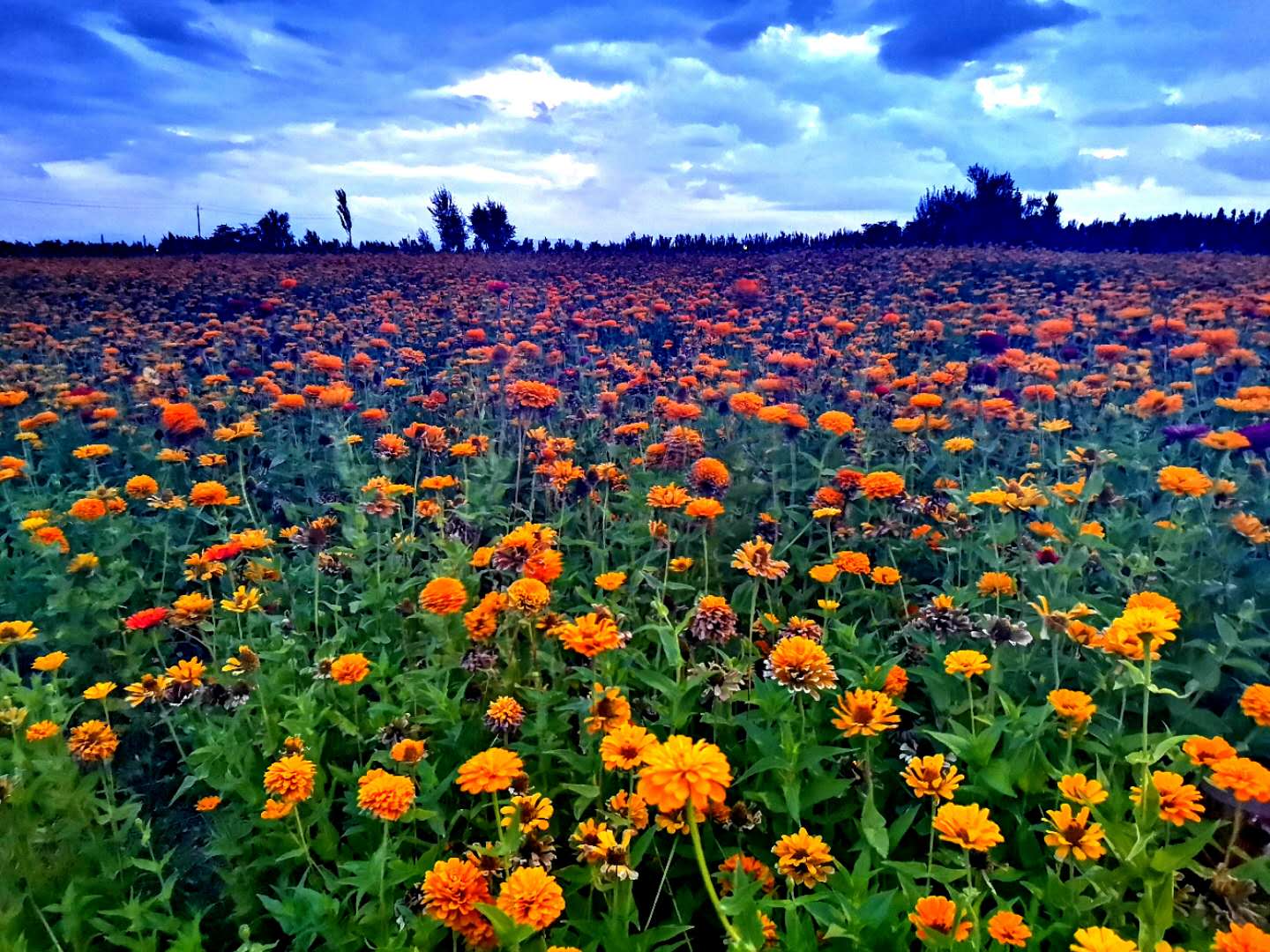 8846威尼斯(中国)股份有限公司