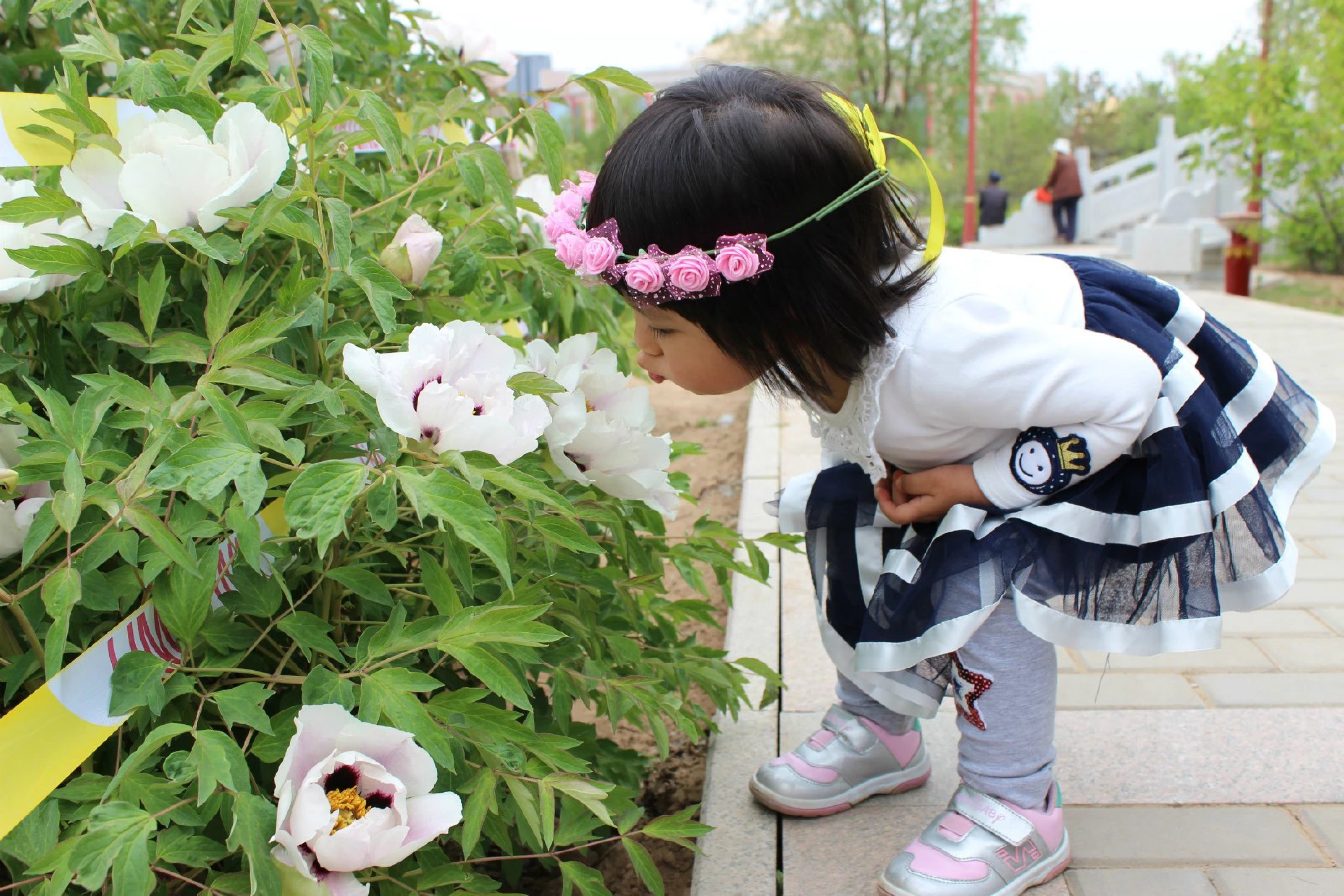 姹紫嫣红  尚逸瑾-1