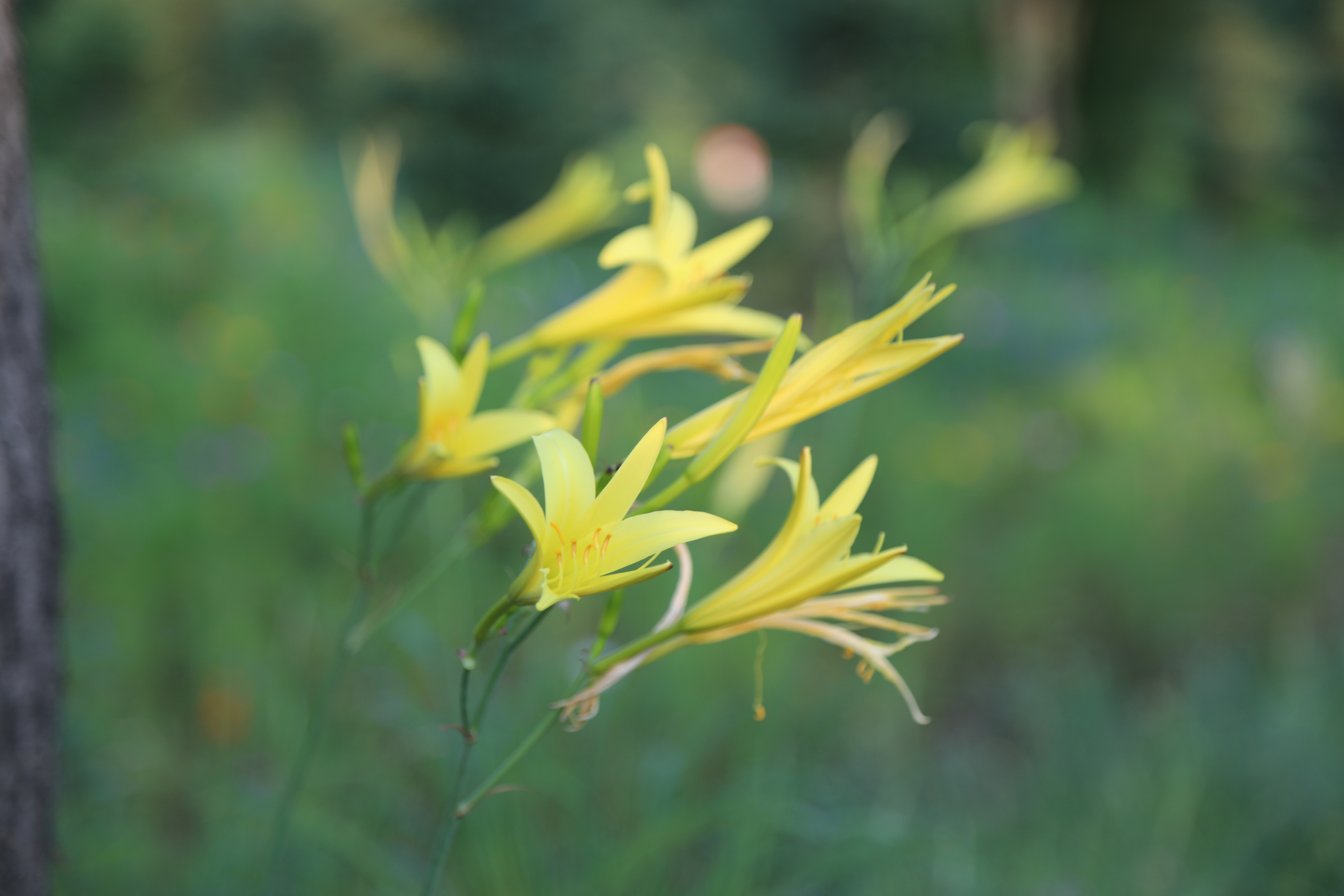 8846威尼斯(中国)股份有限公司