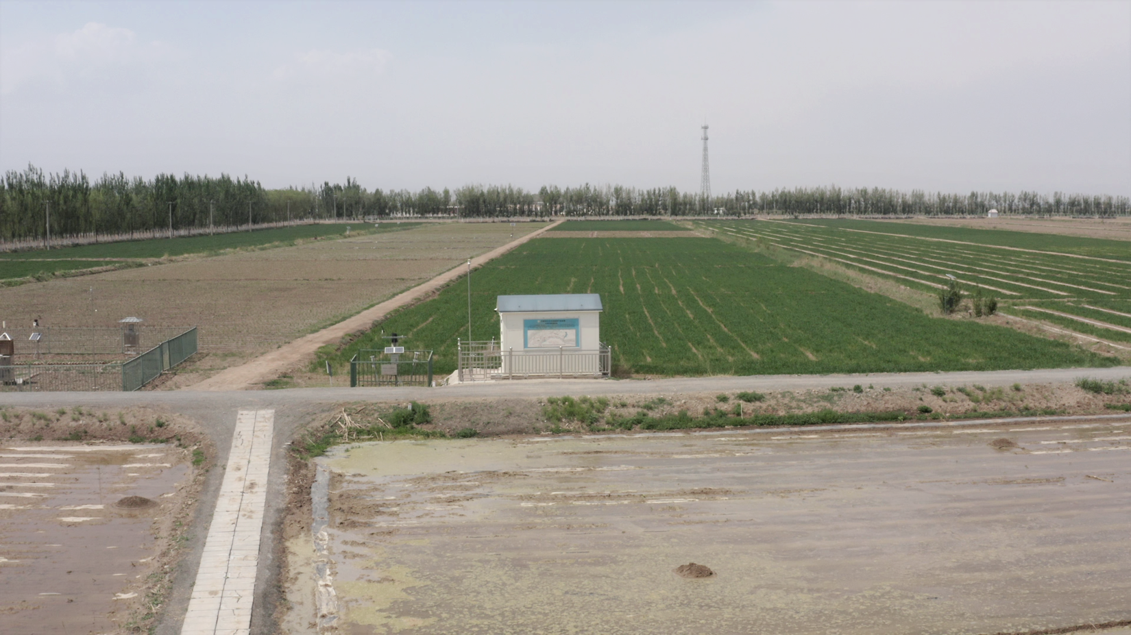 8846威尼斯(中国)股份有限公司